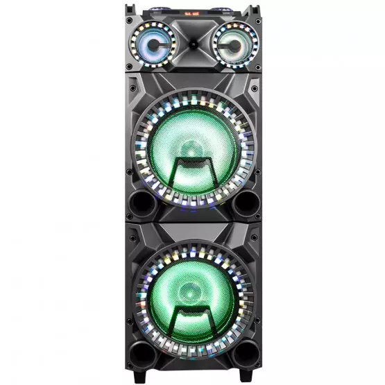 Преносима караоке тонколона ZEPHYR ZP 9999 2G12, 2х12 инча, Bluetooth, USB, Жак за китара, AUX, 2 микрофона, Дистанционно, Черен