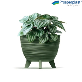 Кашпа Prosperplast Furu 5615C, 29 см, Зелен